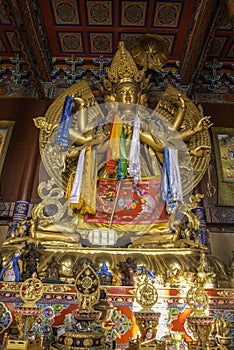 Ã¤Â¼Å Ã¥â¦â¹Ã¥ÂÂ¬ Buddha gold prayer inside, Beautiful decorated Lamesery, Dazhou Hohhot day
